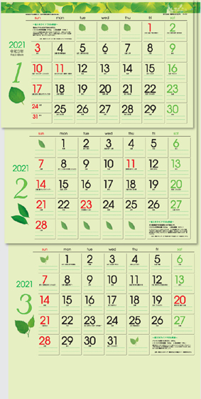 グリーン3ヶ月eco(上から順タイプ)